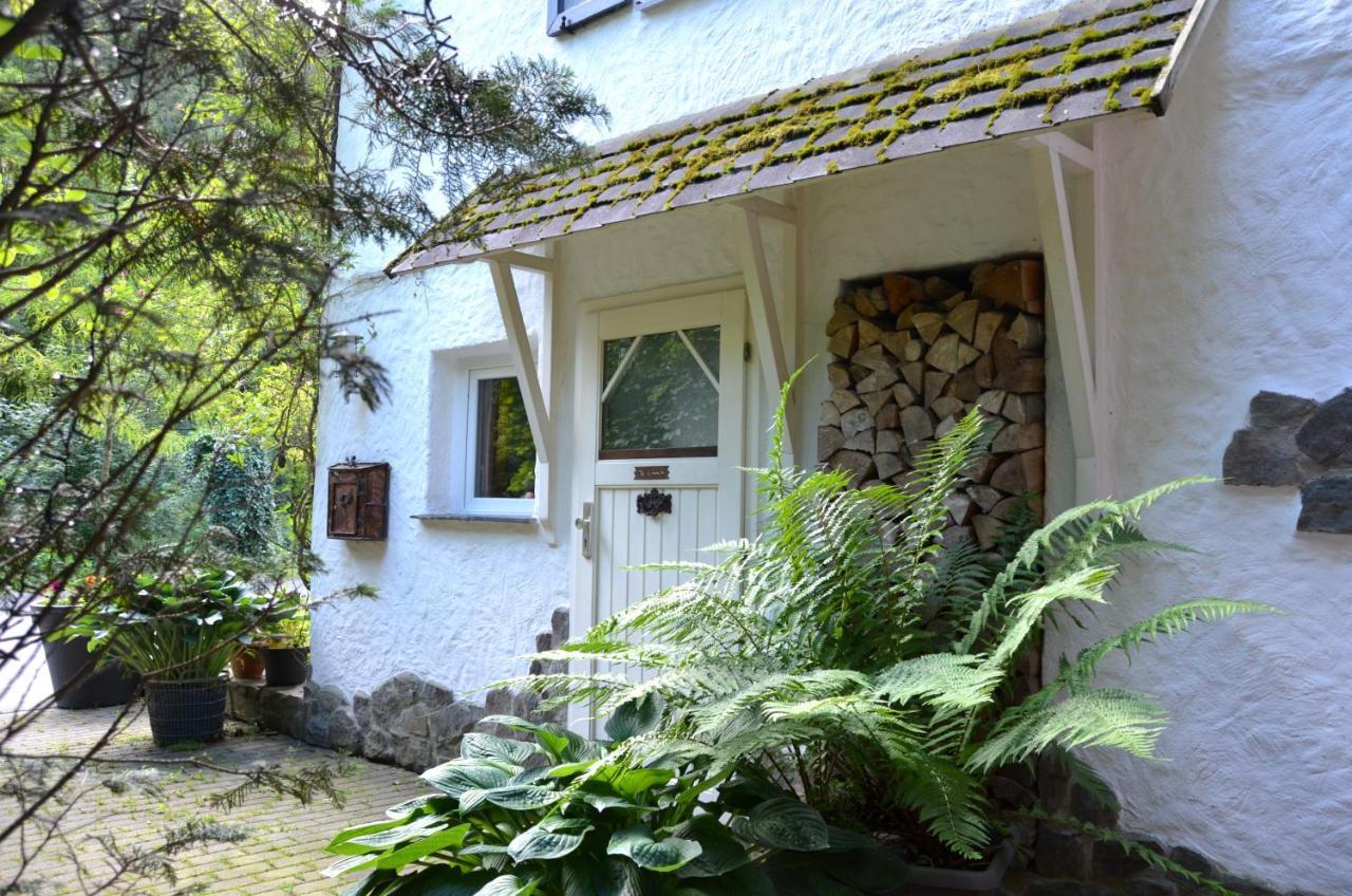 Birgits Landhaus Willingen Dış mekan fotoğraf