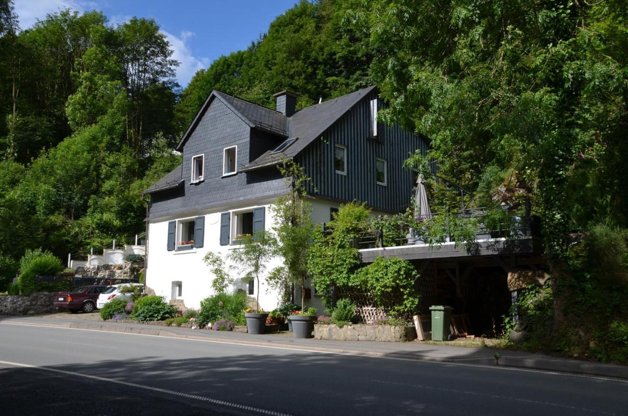 Birgits Landhaus Willingen Dış mekan fotoğraf