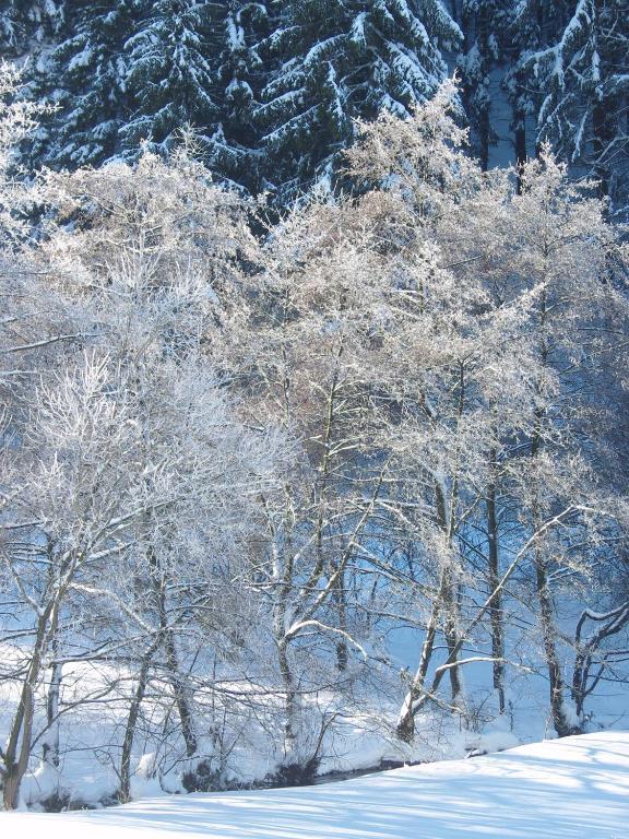 Birgits Landhaus Willingen Dış mekan fotoğraf